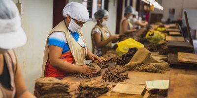 cigars in Hialeah