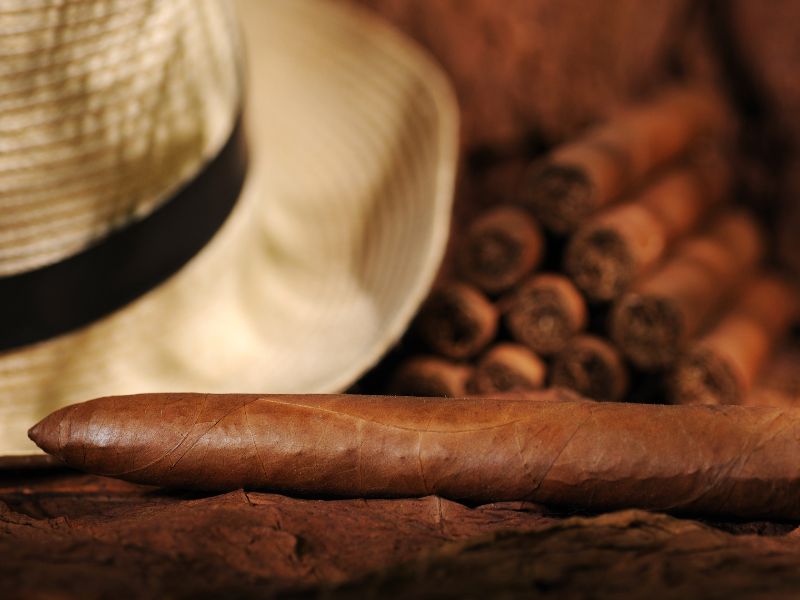 CIGARS