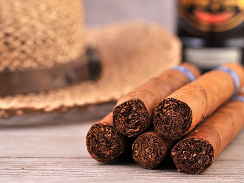 Nicaraguan Cigar