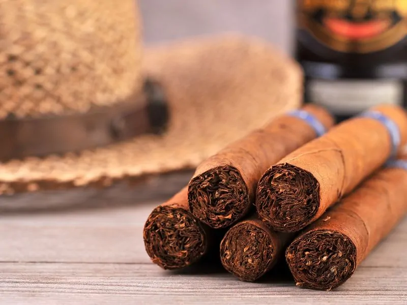 Nicaraguan Cigar