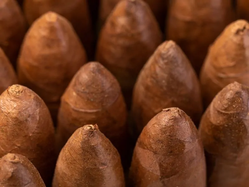 Top Nicaraguan Cigar Brands