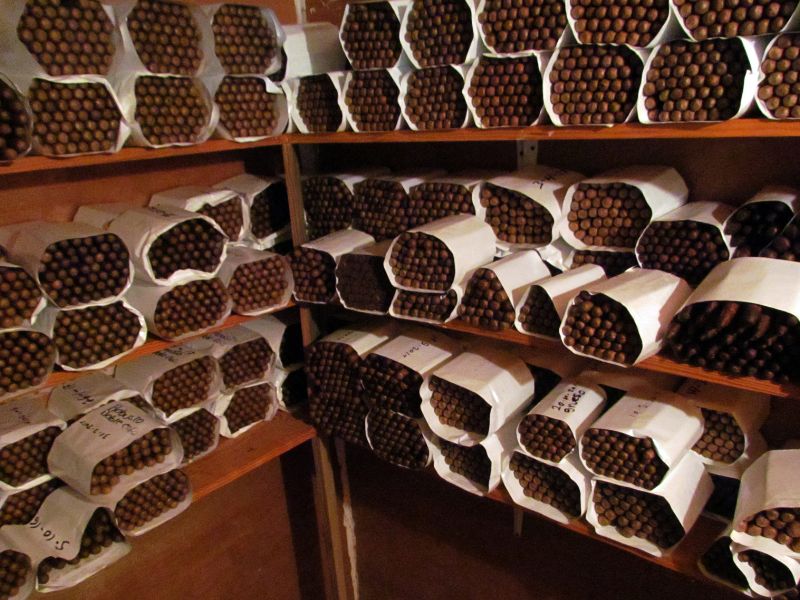 Cigar Shops in Miami Beach