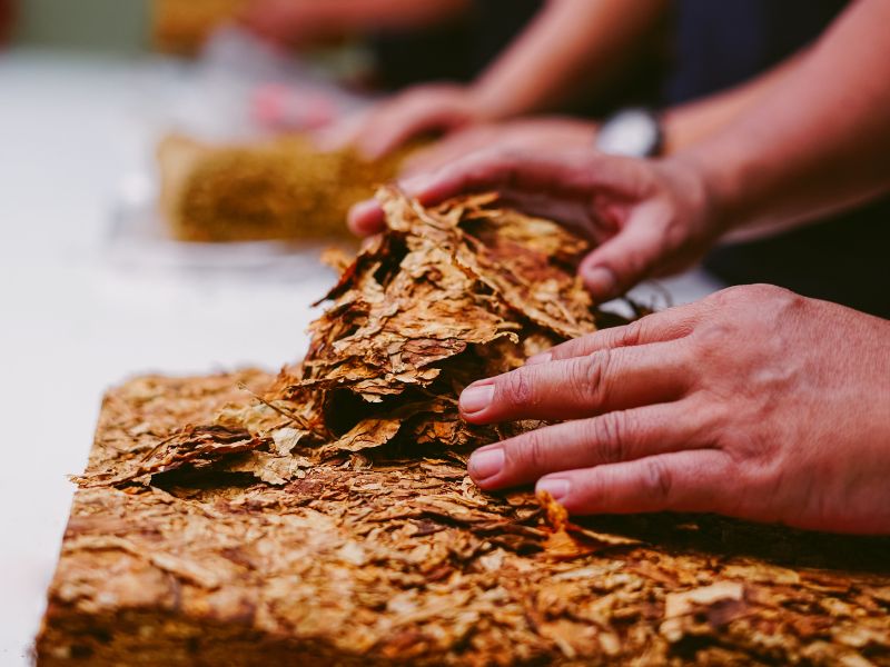 Nicaraguan Cigars