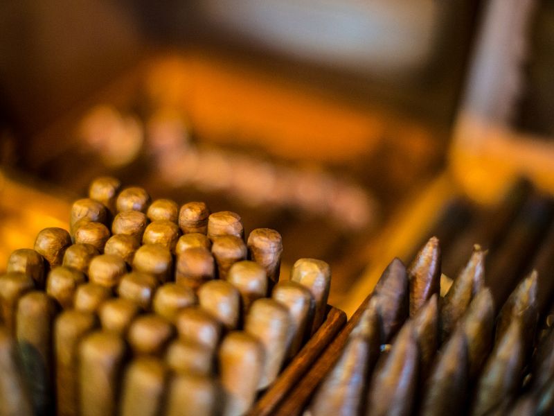 Best Cigars in Miami Top Shops, Brands, and Experiences