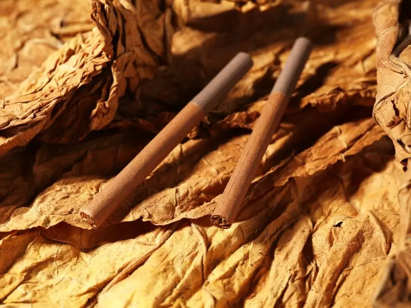 tobacco wrappers in miami