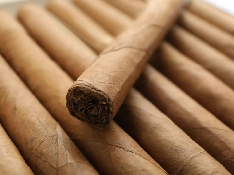 Cigar Wrapper