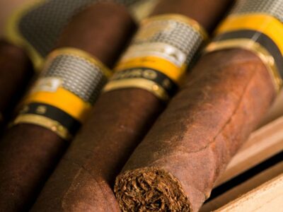 premium cigars near me