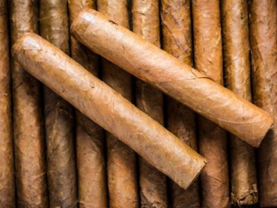 Robusto Cigars