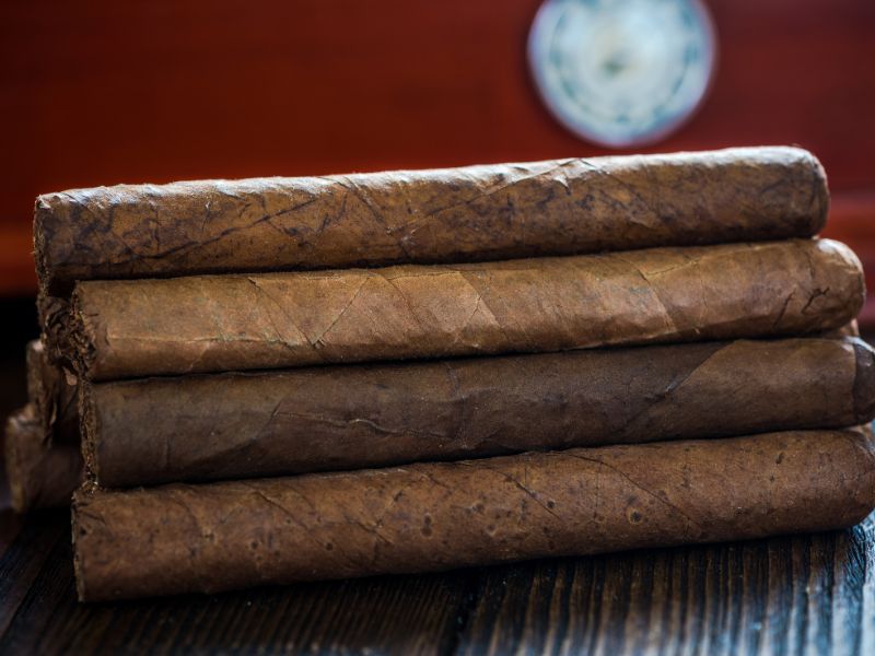 Robusto Cigars Miami