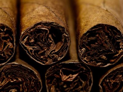 Where to Buy Cigars