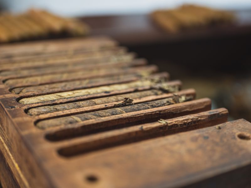 Where to Buy Cigars in Miami